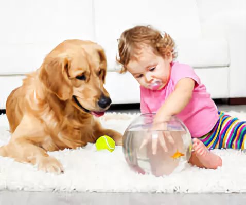Какое животное завести, если в доме ребенок - Статьи про собак